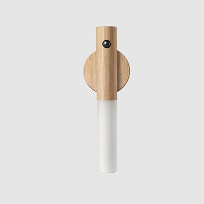 Magnetic Motion Light