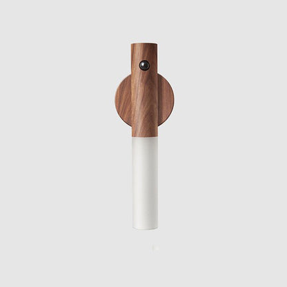 Magnetic Motion Light