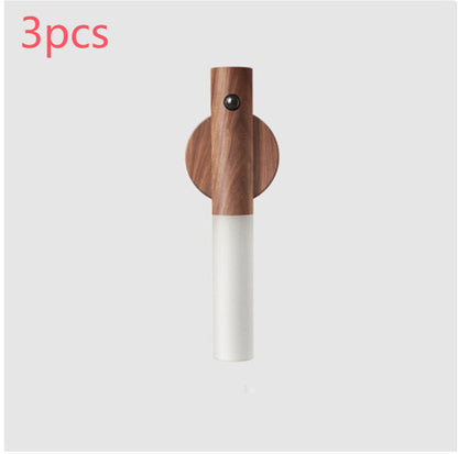 Magnetic Motion Light