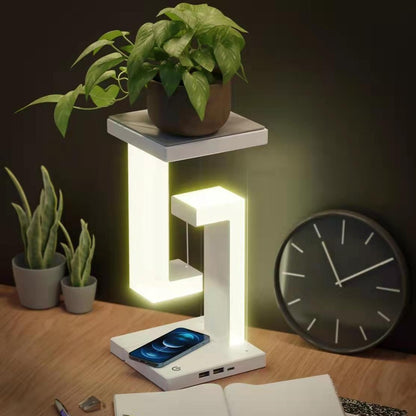 Floating Balance Lamp