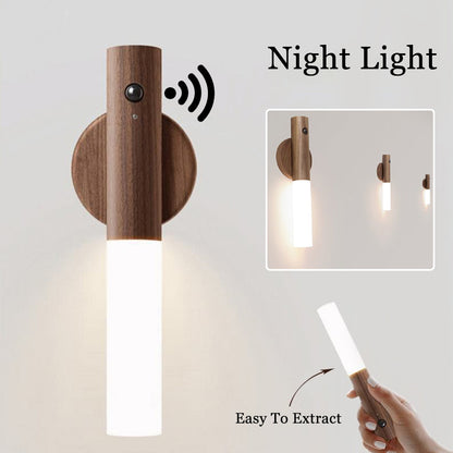 Magnetic Motion Light