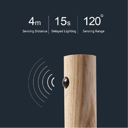 Magnetic Motion Light
