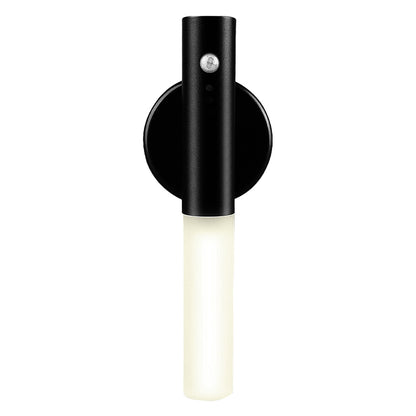 Magnetic Motion Light
