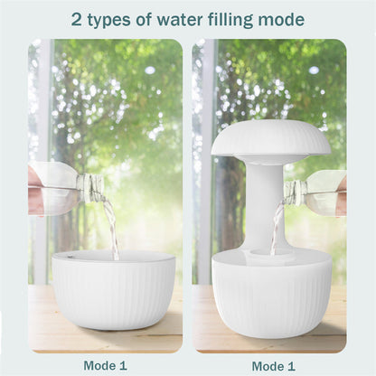 Gravity Mist Humidifier