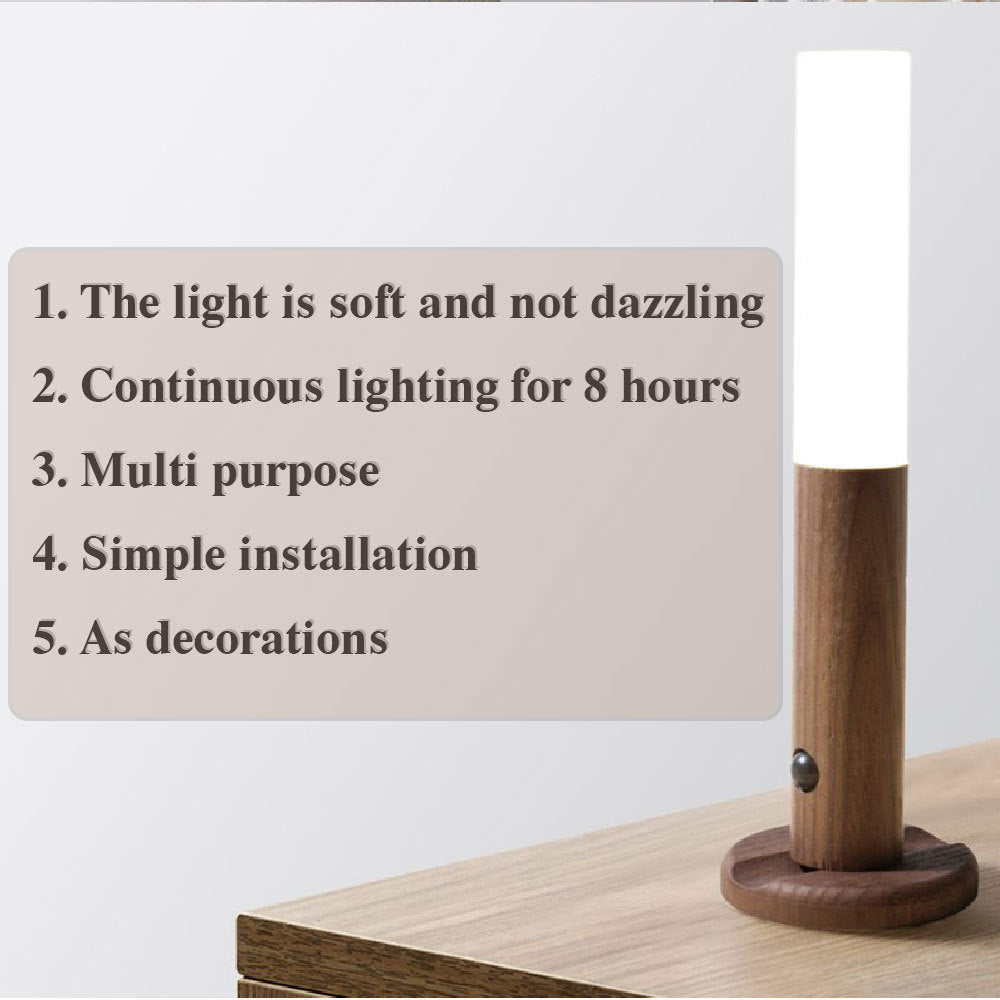 Magnetic Motion Light