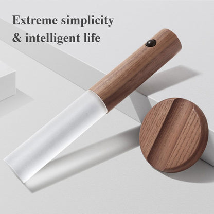 Magnetic Motion Light